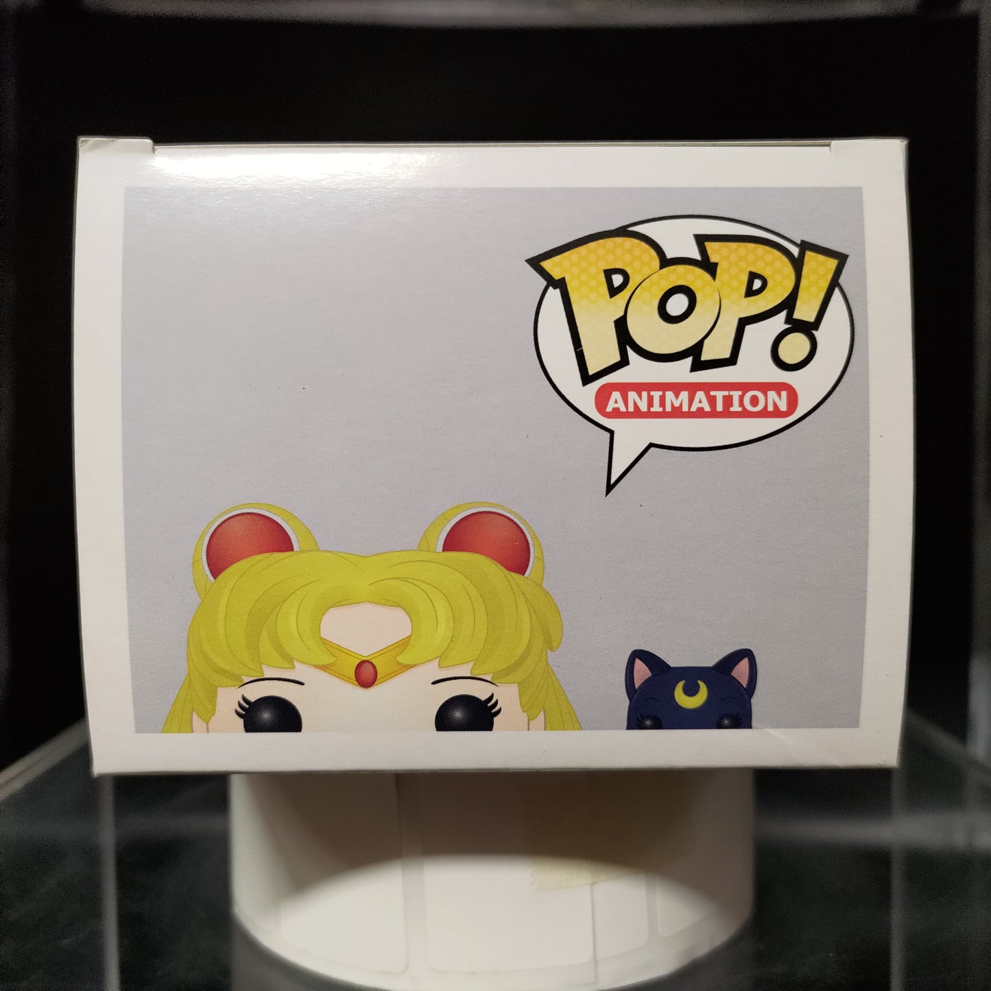 FUNKO POP! Vinyl Animation RARE Sailor Moon #89 Sailor Moon (w/ Luna) [VAULTED]